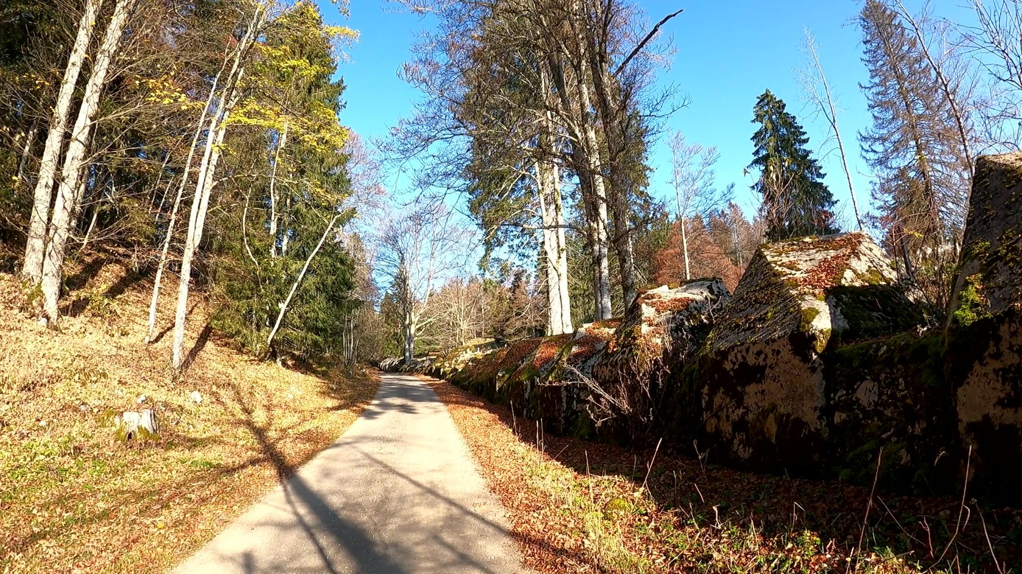 Ligne anti-char en toblérones